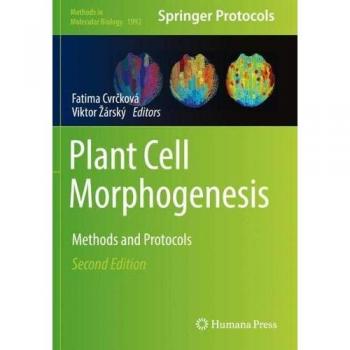 Plant Cell Morphogenesis: Methods and Protocols (Methods in Molecular Biology, 1992, Band 1992)