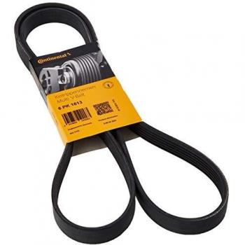 CORREA V CONTINENTAL 6PK1613