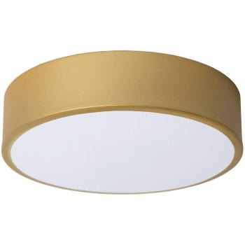 Modern 20cm Gold Brass LED Ceiling Light Fixture