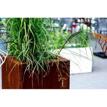 Cortén Jardín Square 100