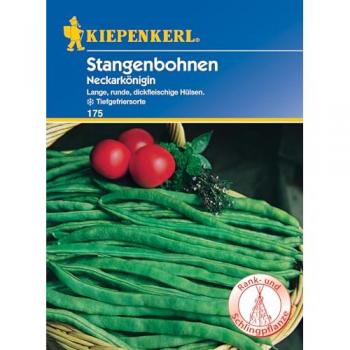 Fagiolo Rampicante 'Regina del Neckar' - Semi di Verdura Kiepenkerl