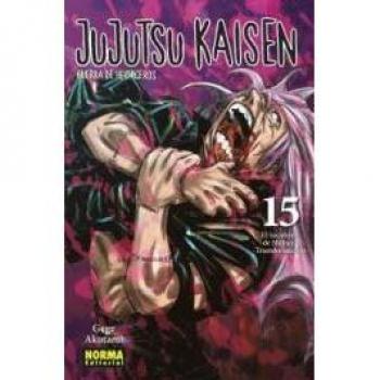 JUJUTSU KAISEN 15 (NE)