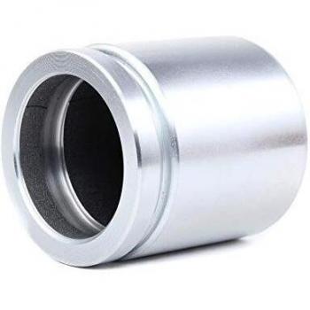 Autofren Seinsa D02520 Caliper Piston