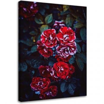 Stampa su tela Feeby, fiori rossi su sfondo di foglie 40x60 rosso