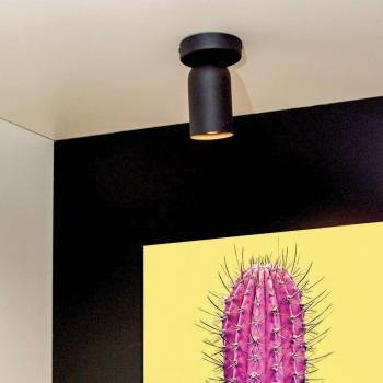 Lucide Punch Single Light Spotlight in Black
