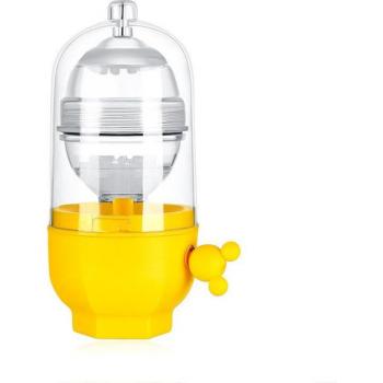 Golden Egg Shaker