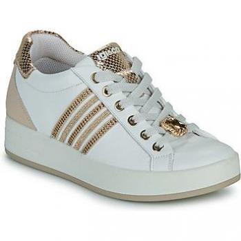 IgI&CO Sneaker 5657211 – Nappaleder Edition
