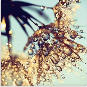 Artland Glasbild »Pusteblume im Sonnenlicht«