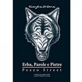Erba, parole e pietre. Pezzo street. Romanzo hip hop