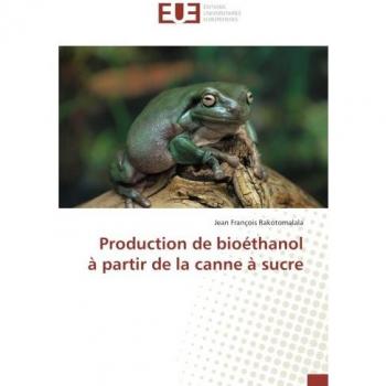 Production de bioethanol A partir de la canne A sucre