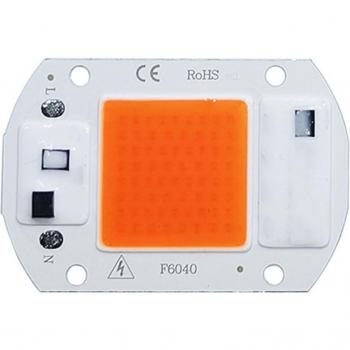 Indoor Plant Grow Light 20W 30W 50W COB Flower Chip