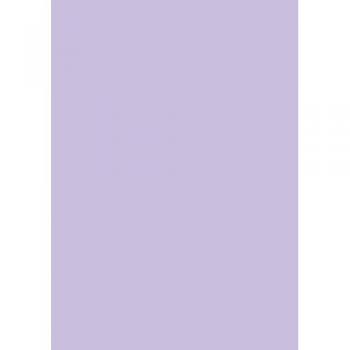 BRUNNEN 105122560 Universalpapier A4 160g flieder 25 Blatt