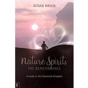 Nature Spirits: The Remembrance: A Guide to the Elemental Kingdom