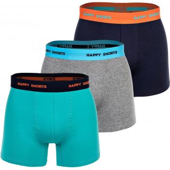 Herren Boxershorts Mehrfarbig 3er Pack
