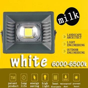 50W LED Flood Light