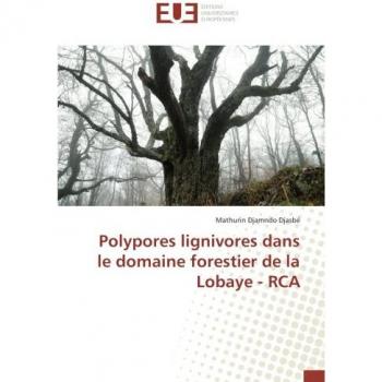Polypores lignivores dans le domaine forestier de la Lobaye - RCA