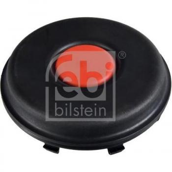 Radnaben-Abdeckung Febi Bilstein 171251