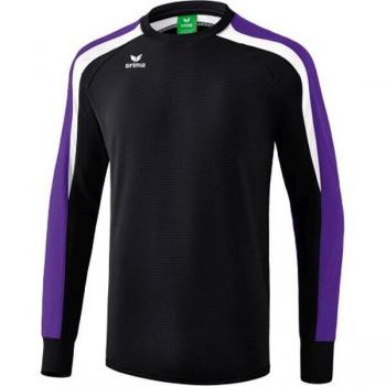 Sweatshirt junior Erima Liga 2.0