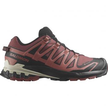 Zapatillas Salomon XA PRO 3D v9 GORE-TEX rojo granate mujer - 36(2/3)