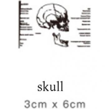 Skelett Notizbox