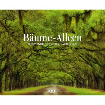 Bäume – Alleen 2020 – Wandkalender 52 x 42,5 cm – Spiralbindung