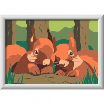 CreArt Kinder: Kuschelnde Eichhörnchen (Malen nach Zahlen)