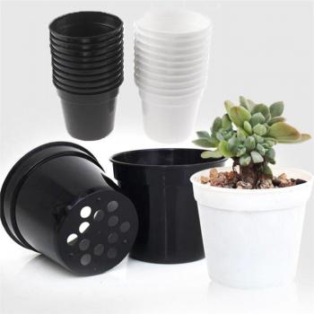 Adorable Succulent Grow Pots - Set of 5-20