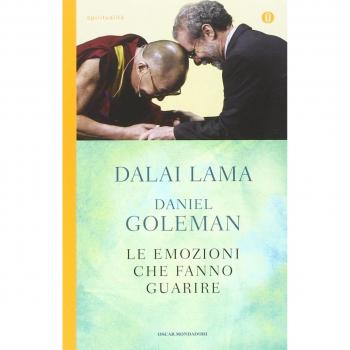 Le emozioni che fanno guarire. Conversazioni con il Dalai Lama