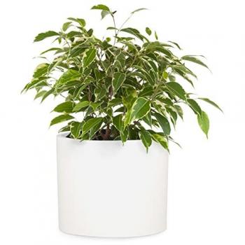 Blumfeldt Übertopf Faserstein In/Outdoor weiß 32.5 H x 33.5 W x 34.5 D cm
