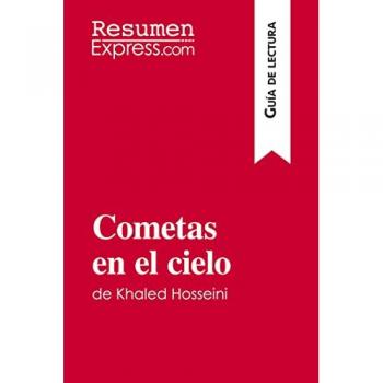 Cometas en el cielo de Khaled Hosseini (Guía de lectura): Resumen y análisis completo