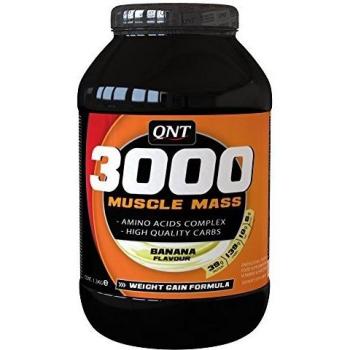 QNT 3000 Banana Protein Gainer