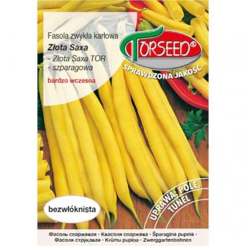 Fasola Złota Saxa 50g - nasiona warzyw premium