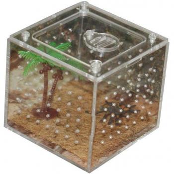 Terrario Transparente de Cría para Ranas y Lagartos