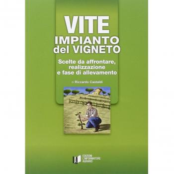 VITE: IMPIANTO DEL VIGNETO