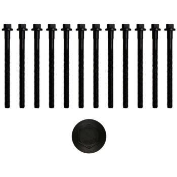 Bolt Kit, cylinder head 81019800