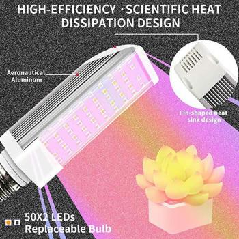 Luz LED Colorida 25W para Jardín y Flores