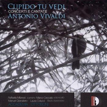 Cupido tu vedi - Concerto - Cantates
