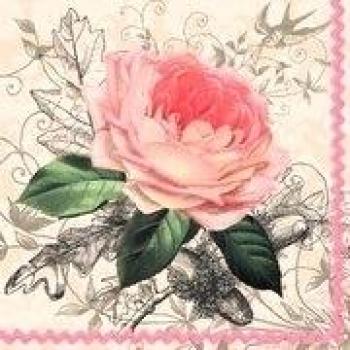 Pliegue Cuadrado Rosado Charming
