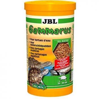 JBL Gammarus Pulse