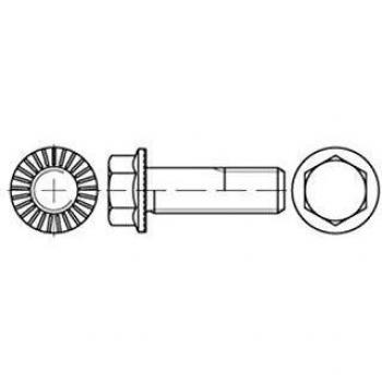 Sechskantflanschschraube R 88913 Sperr-Ripp VG M5 x 10, 100 Stück