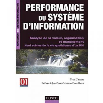 Performance du système d'information - Analyse de la valeur, organisation et management: Analyse de la valeur, organisation et management