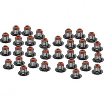 32PCS Valve Stem Seals for BMW E63 E64 E71 550I 750Li X5 - OEM Replacement