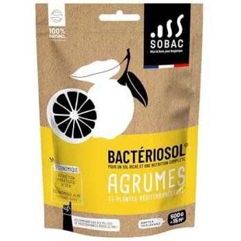 BactériSol Écologique pour Agrumes et Plantes Méditerranéennes