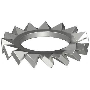 SWS M6 A4 Lock Washers (100 Count)