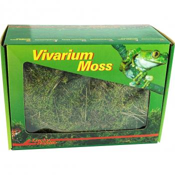 Mousse Vert Terrarium Lucky Reptile – VM‑150, 150 g – Décor Humide