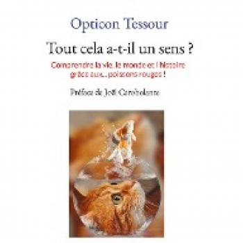 Tout cela a-t-il un sens ?