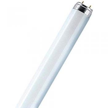 Osram L 36W 827 Lumilux Interna 97cm Luz muy Cálida