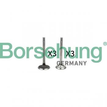 Borsehung B18765 Auslassventil