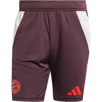 FC Bayern adidas Training Shorts - Maroon