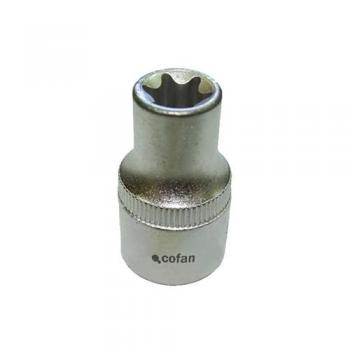 Llave de vaso 1/2 torx hembra t-12